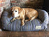 The Amberley Dog Sofa Medium